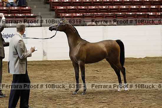 Proof 10buck_6318