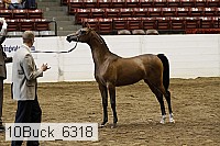 10buck_6318 proof