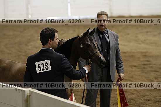 Proof 10buck_6320