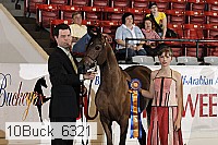 10buck_6321 proof