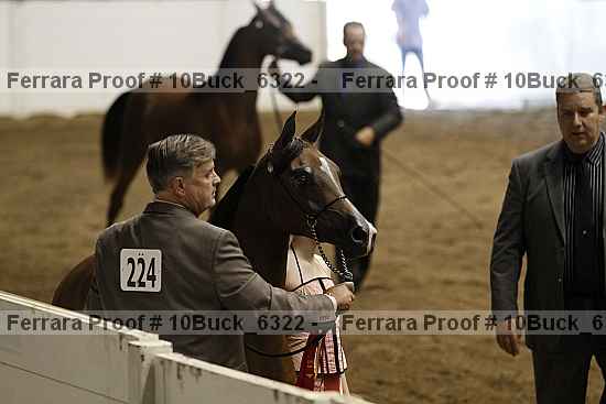 Proof 10buck_6322