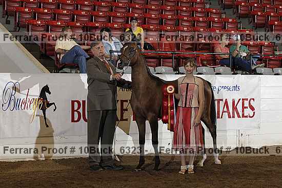 Proof 10buck_6323