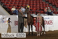 10buck_6323 proof