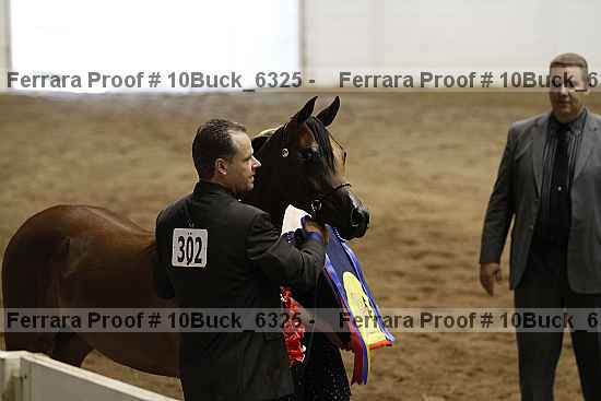 Proof 10buck_6325