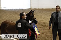 10buck_6325 proof