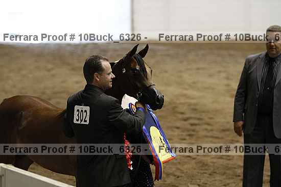 Proof 10buck_6326