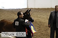 10buck_6326 proof