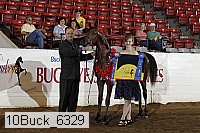 10buck_6329 proof