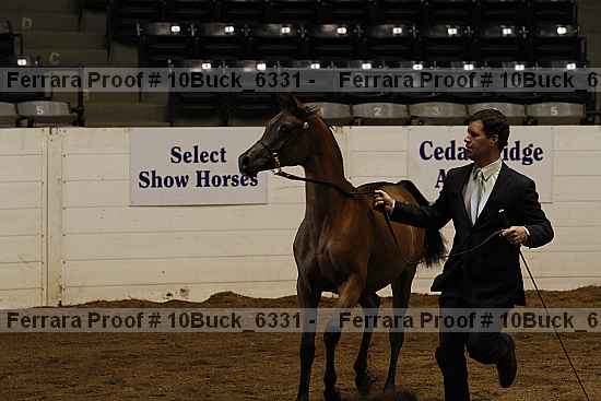 Proof 10buck_6331