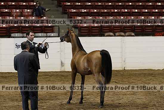 Proof 10buck_6332
