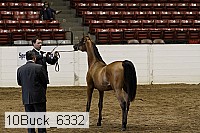 10buck_6332 proof