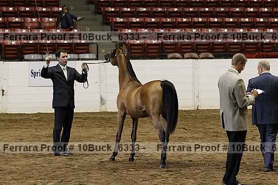 Proof 10buck_6333