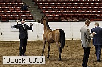 10buck_6333 proof