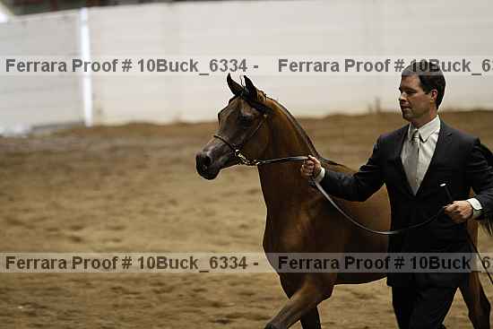 Proof 10buck_6334