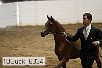 10buck_6334 proof