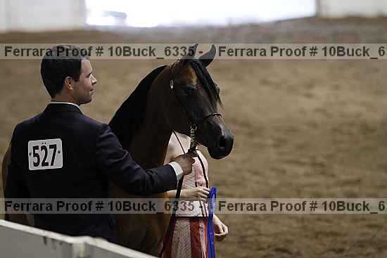 Proof 10buck_6335