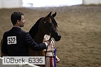 10buck_6335 proof