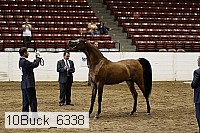 10buck_6338 proof