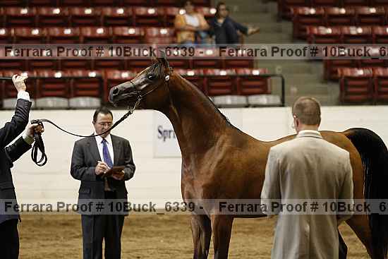 Proof 10buck_6339