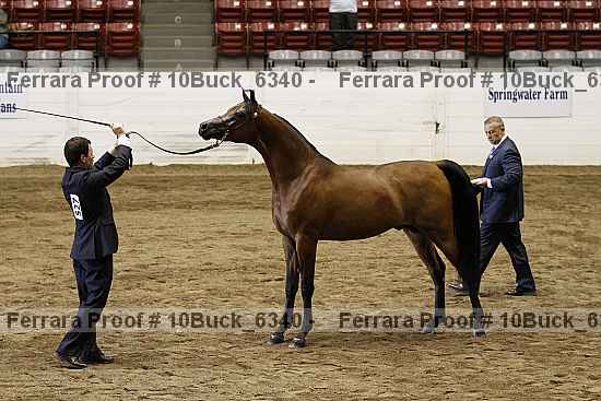 Proof 10buck_6340