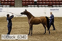 10buck_6340 proof