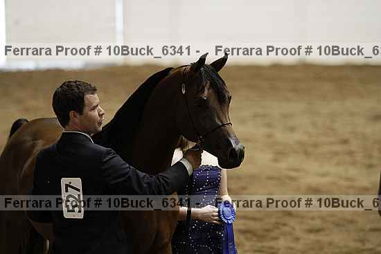 Proof 10buck_6341