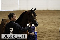 10buck_6341 proof