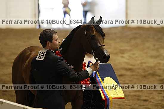 Proof 10buck_6344
