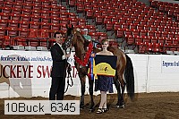 10buck_6345 proof