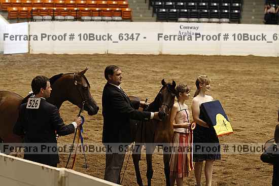 Proof 10buck_6347