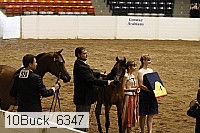 10buck_6347 proof