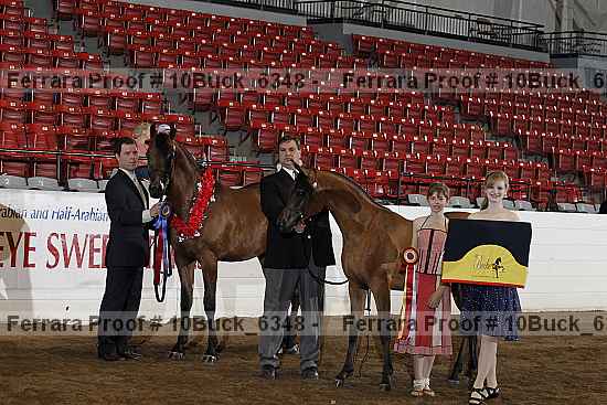 Proof 10buck_6348