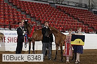 10buck_6348 proof