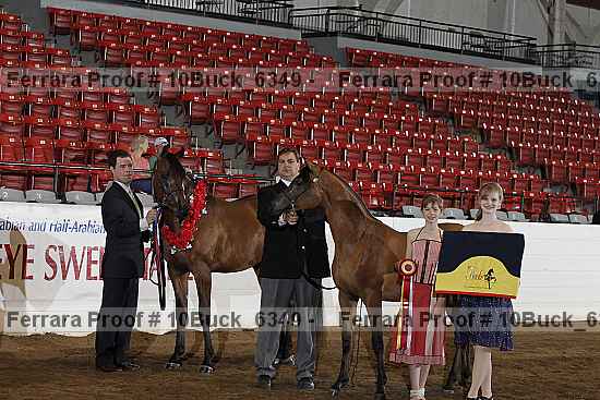 Proof 10buck_6349