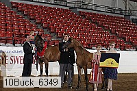 10buck_6349 proof