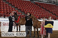 10buck_6350 proof