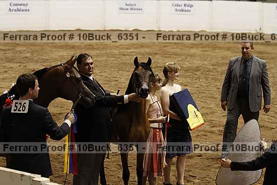 Proof 10buck_6351