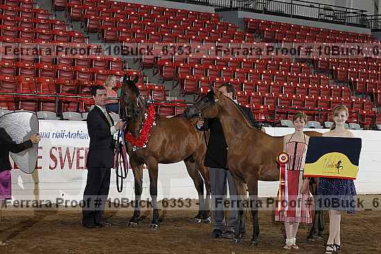 Proof 10buck_6353