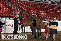 10buck_6353 proof