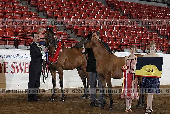 Proof 10buck_6354