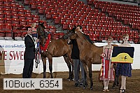 10buck_6354 proof