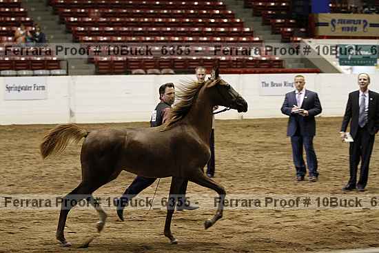 Proof 10buck_6355
