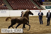 10buck_6355 proof