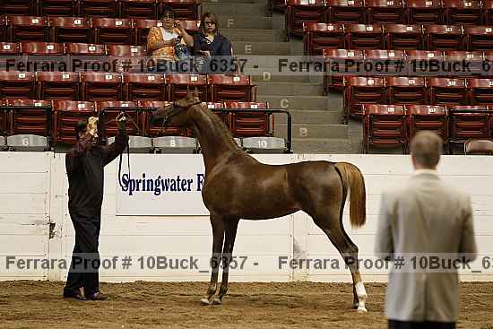 Proof 10buck_6357