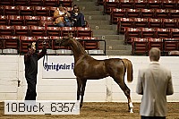 10buck_6357 proof