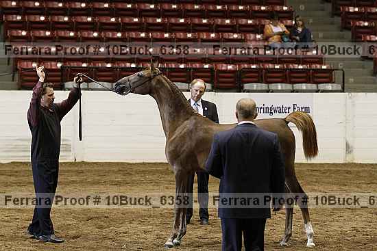 Proof 10buck_6358