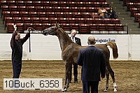 10buck_6358 proof