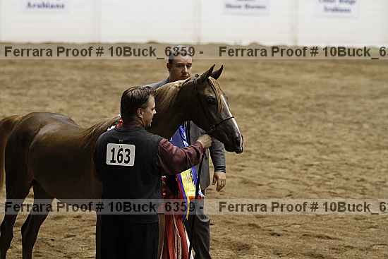 Proof 10buck_6359
