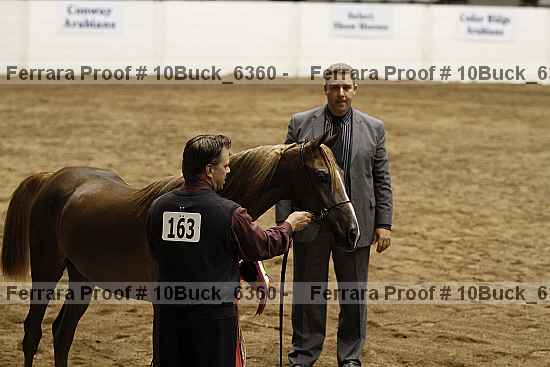Proof 10buck_6360