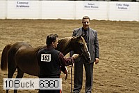10buck_6360 proof